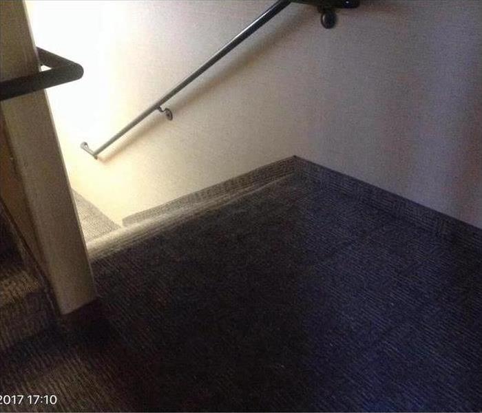 stairwell with carpet 