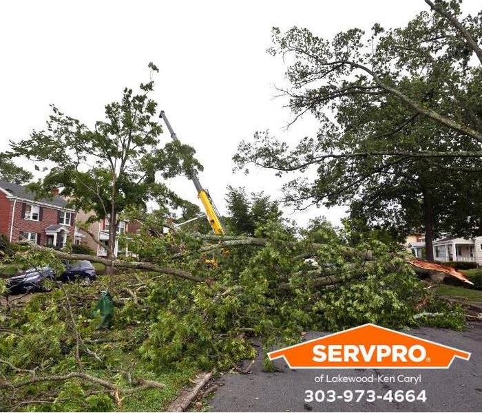 A fallen tree causes property damage.