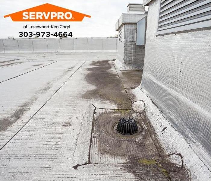 A low-slope roof with a drain cover prevents leaves from entering the drainage system.